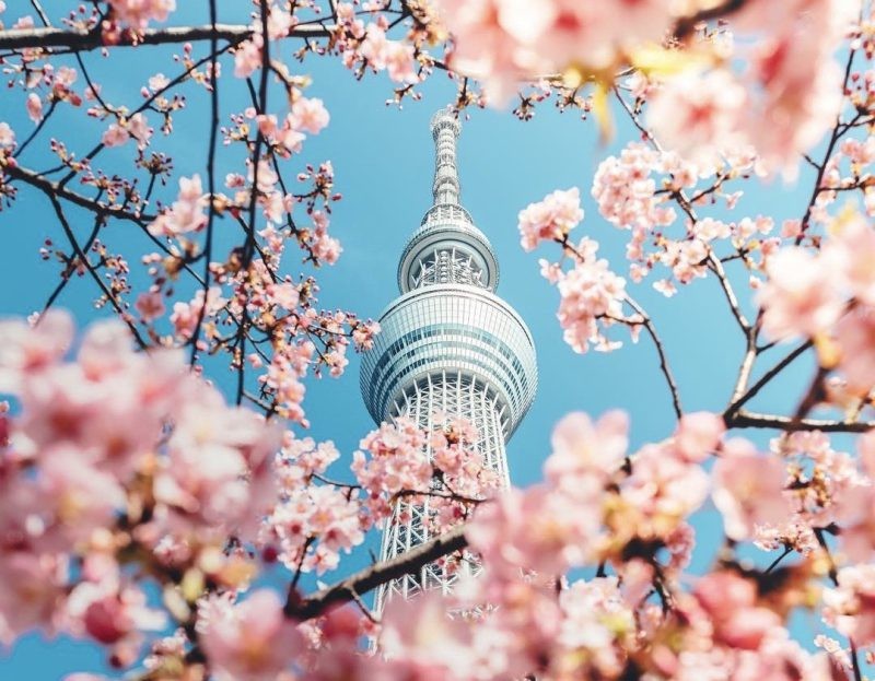 TOKYO – NÚI PHÚ SĨ – KIOTO – NAGOYA – OSAKA