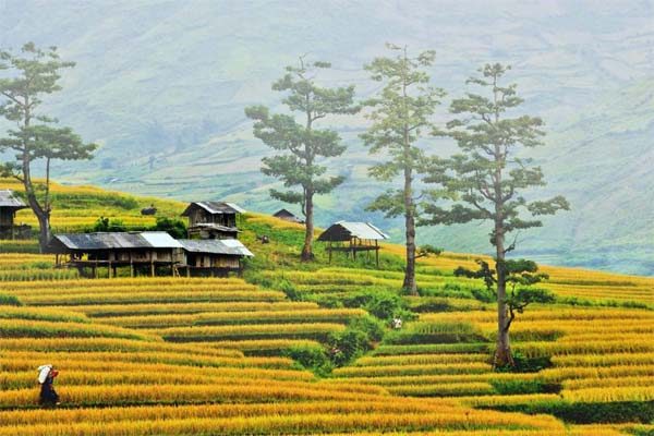 Mai Châu