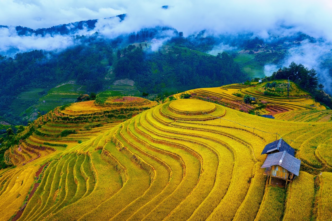 Mù Cang Chải